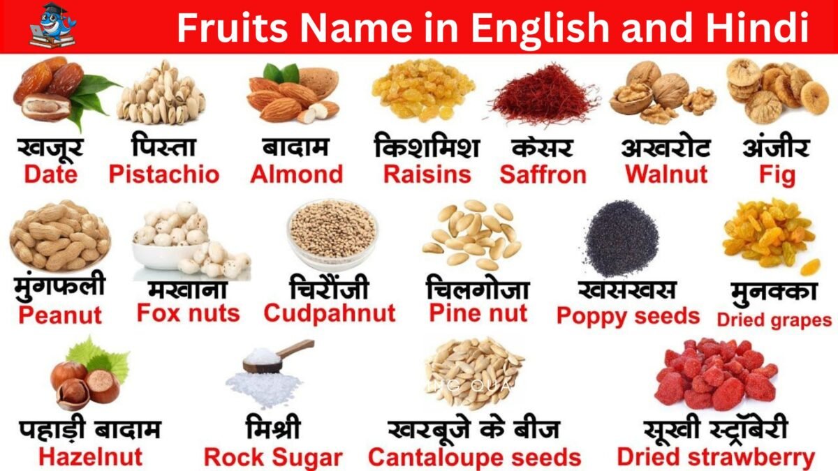 Fruits Name in English and Hindi